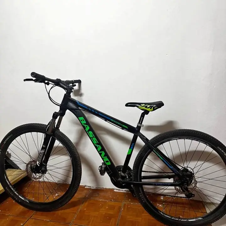 Bicicleta BASSANO Rodado 29