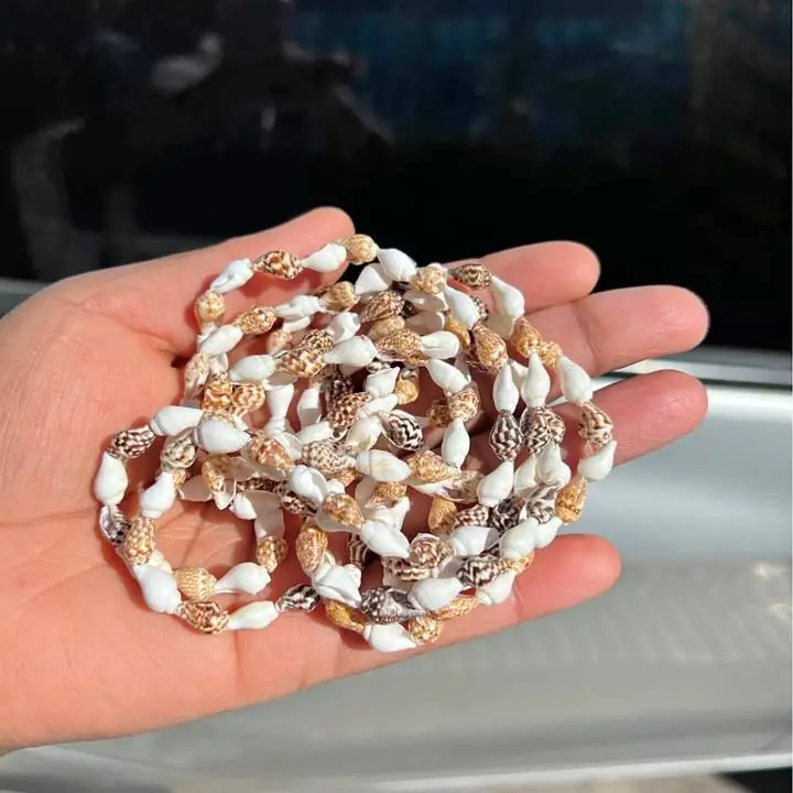 Caracol trenzas