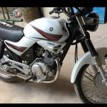Vendo vendo