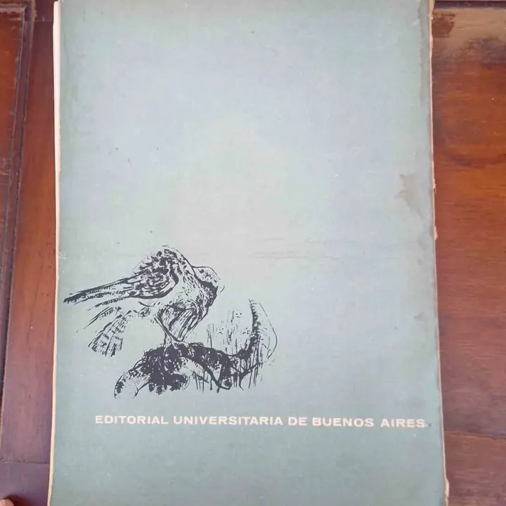 Libro de Martín Fierro Castagnino
