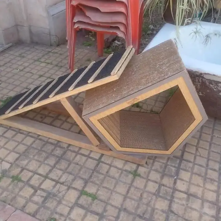 Rampa y casa para gatos
