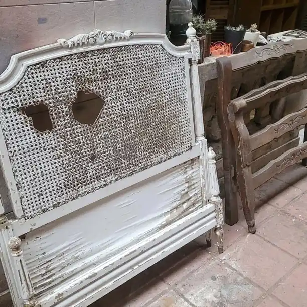 Respaldó de cámas