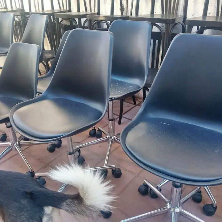 Sillas originales de oficina giratoria ruedas suba y baja