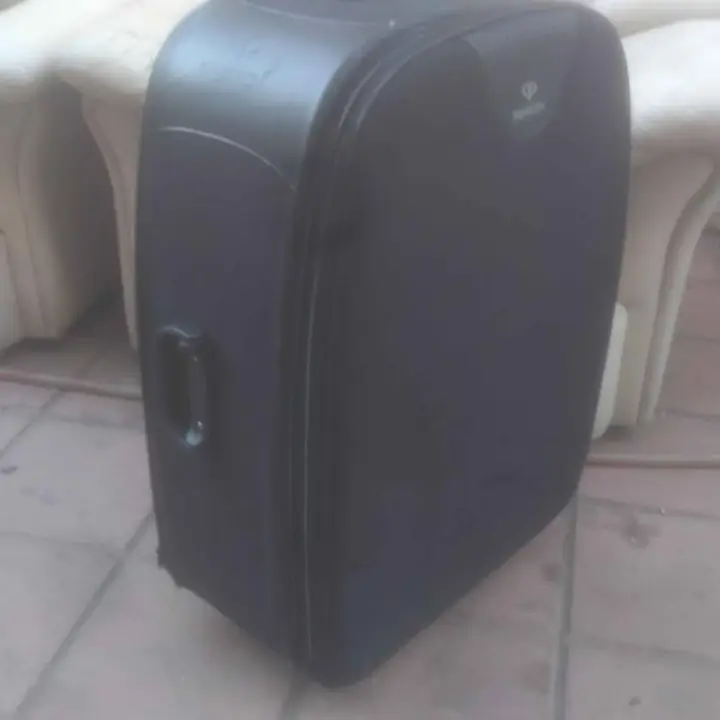 Maleta valija carry con ruedas anda y sana envío