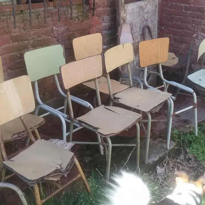 Sillas de colegio pupitre esqueletos