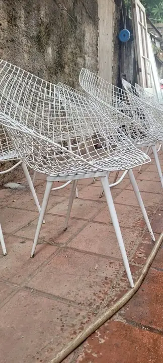 16 Sillones bertoia Diamond