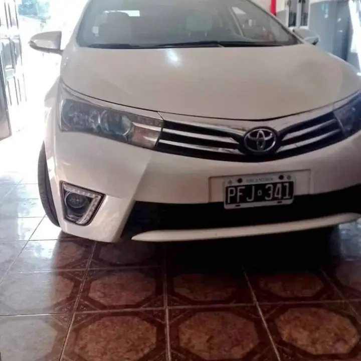 Ploteo metálizado