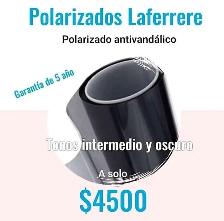 Polarizado antivandálico