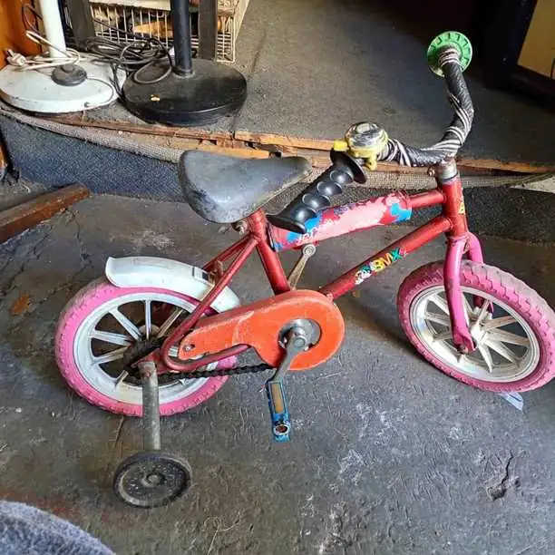 Bicicleta rodado 12