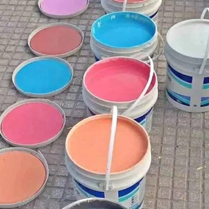 Pintuta ventas x mayor y menor