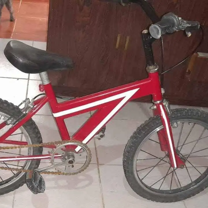 Bicicleta rodado 16