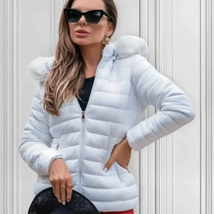 Campera Clásica Liviana