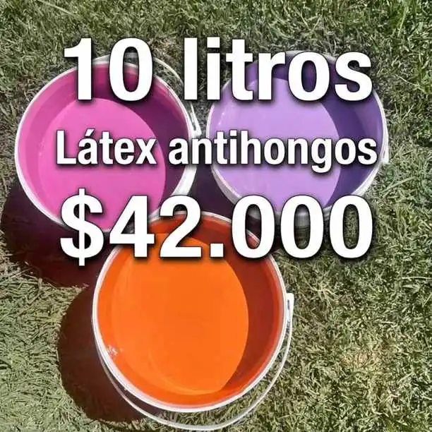 Pintura látex antihongos 10lts $42.000 variedad e colores envíos económicos