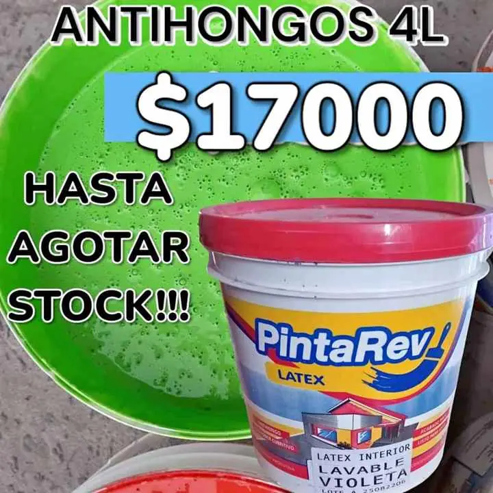 Latex antihongos de fabrica a tu domicilio
