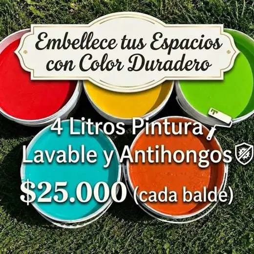 Pintura lavable y antihongos 4lts $25.000 directo de fábrica