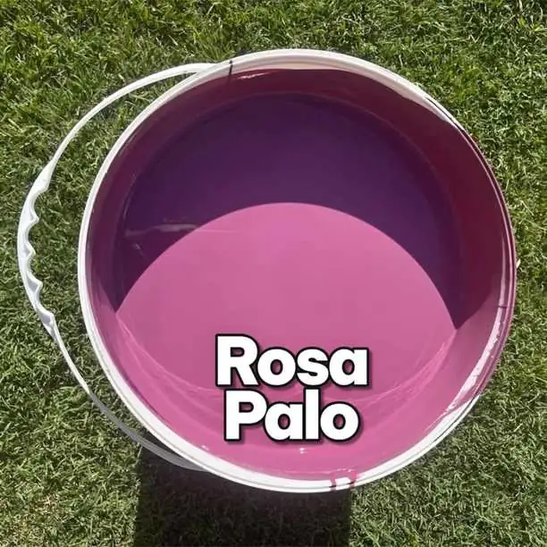 Pintura para tu domicilio antihongos de excelente calidad todo de fábrica