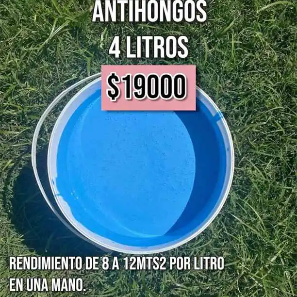 Pinturas látex y más productos de primera mano al mejor precio