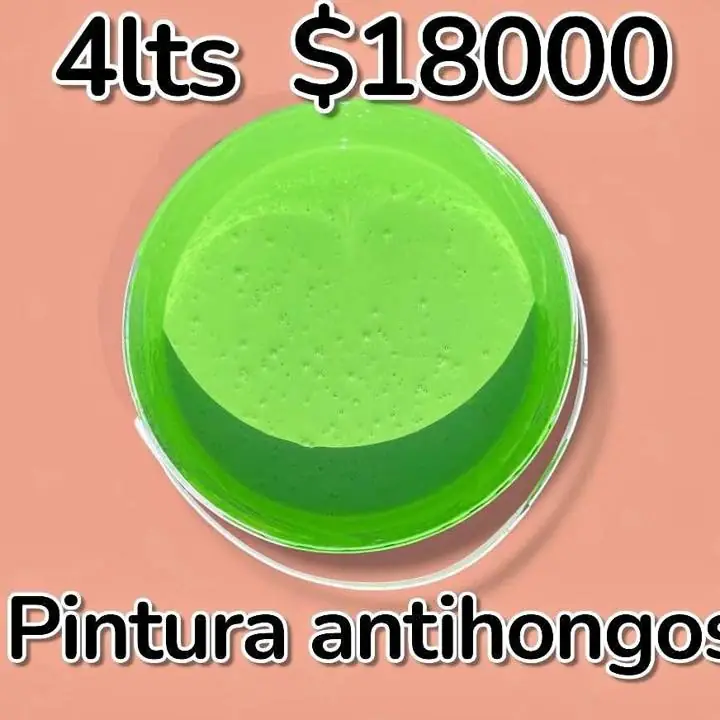 Pintura látex antihongos 4lts $18000 hasta agotar stock envíos a domicilio!
