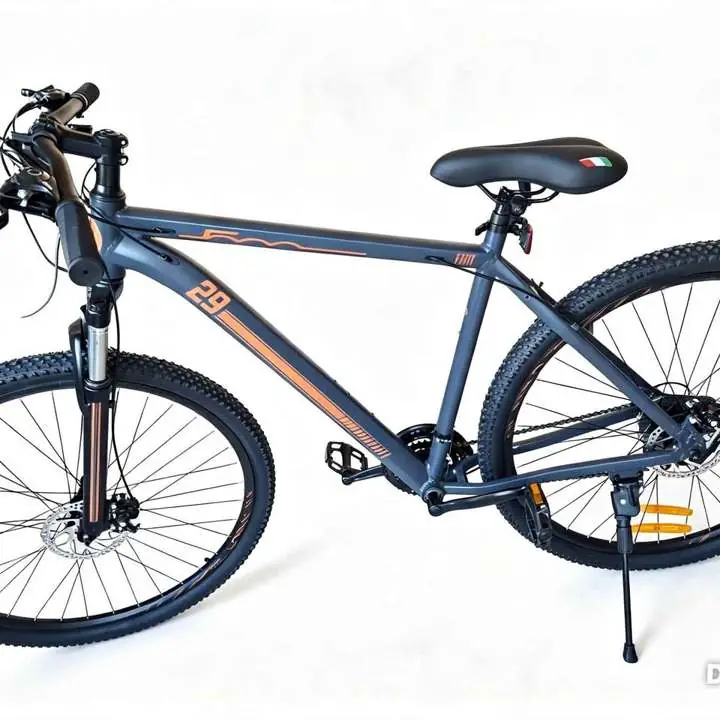 Bicicleta Fiat rodado 29
