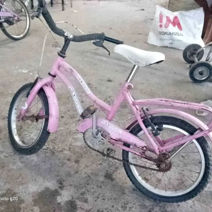 Bicicletas para chicos faltan cámaras después están para usar