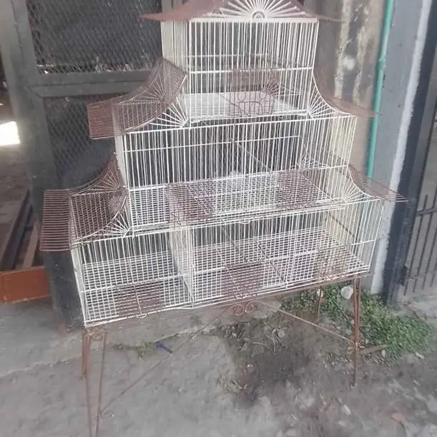 Jaulon con pie sano impecable estado 6 box