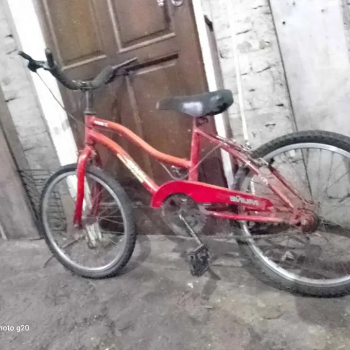 Bici rodado 20 para chico buen estado