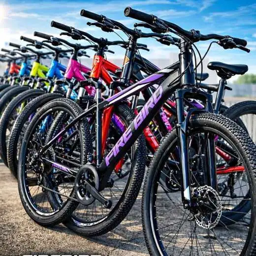Bicicleta firebird rodado 29, 21 velocidades acero