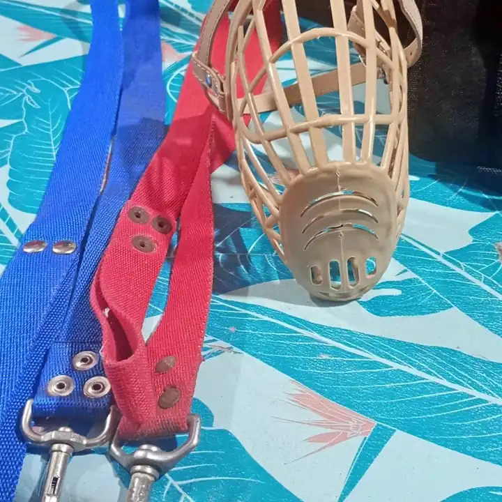 Bosal para perro con dos correas en buen estado