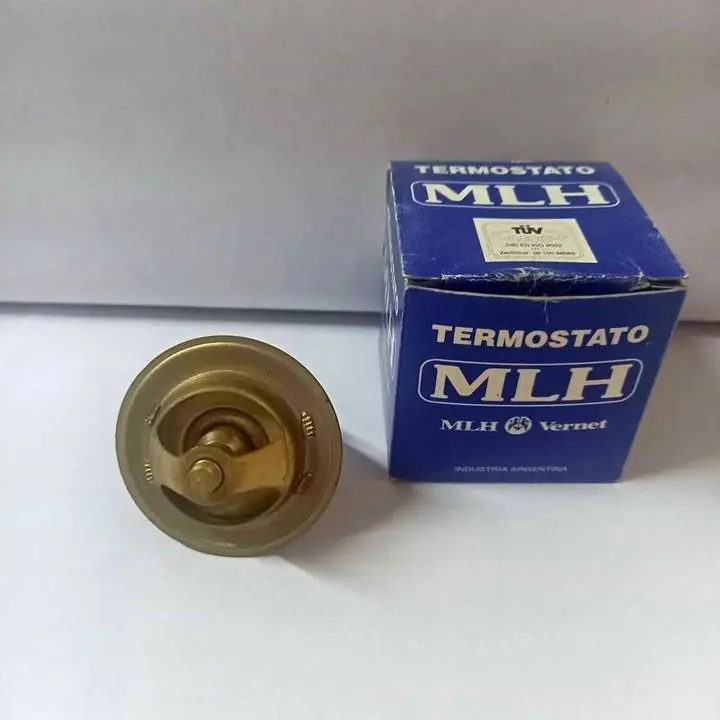 Termostato Ford Sierra 1.6