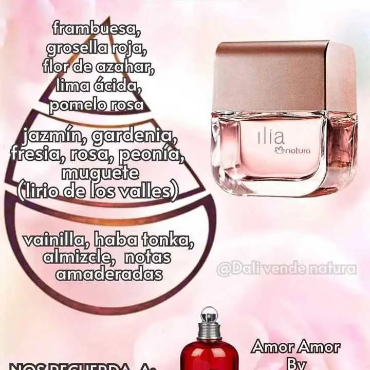 Ilia clásico femenino natura oferta nuevo sellado