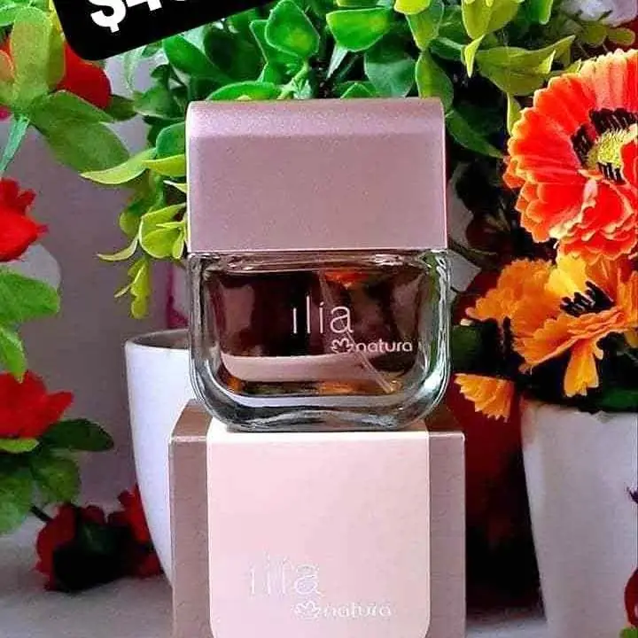 Ilia clásico femenino natura oferta