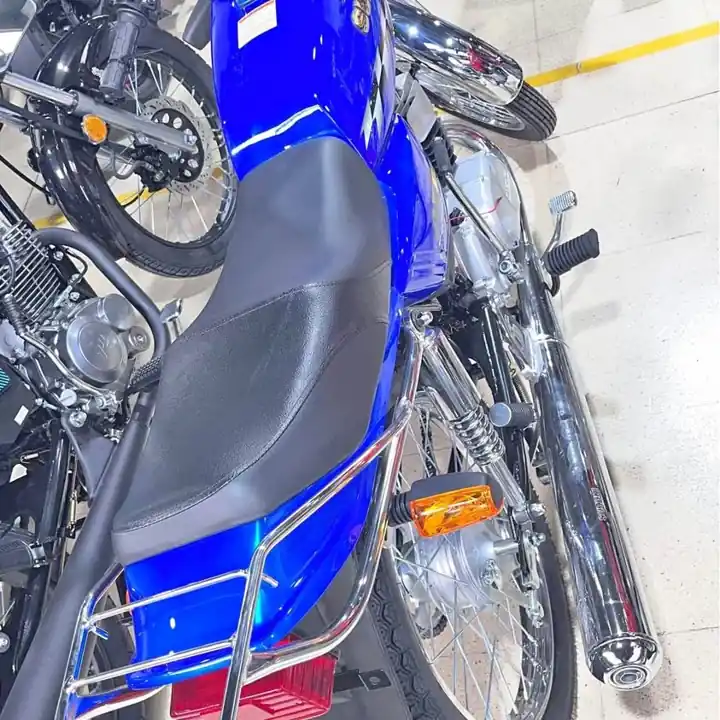 Suzuki AX 100