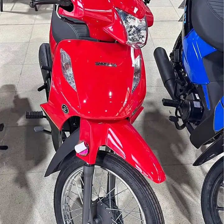 Zanella ZB 110