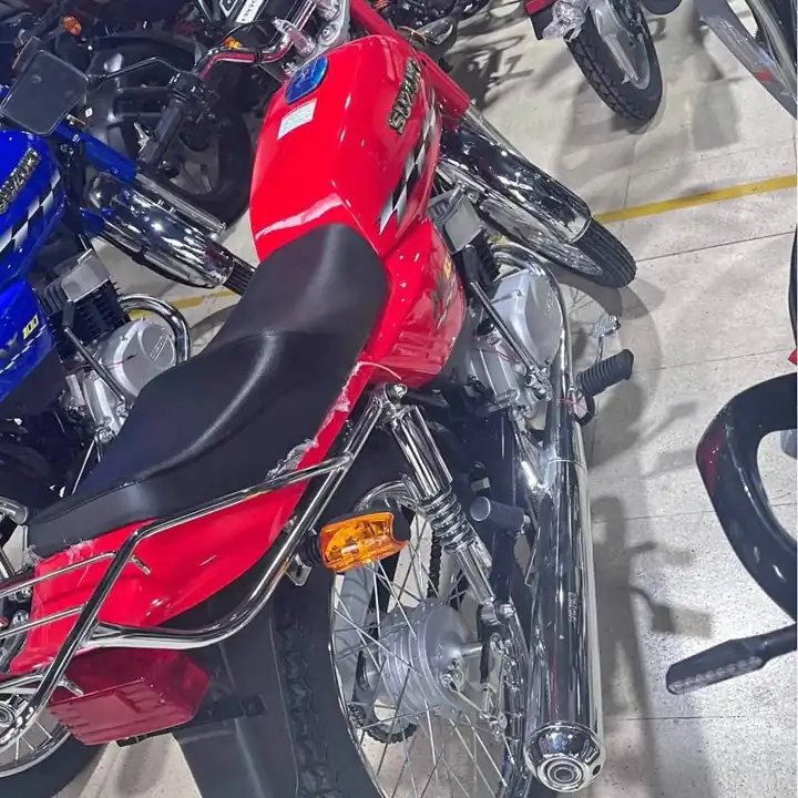 Suzuki ax 100