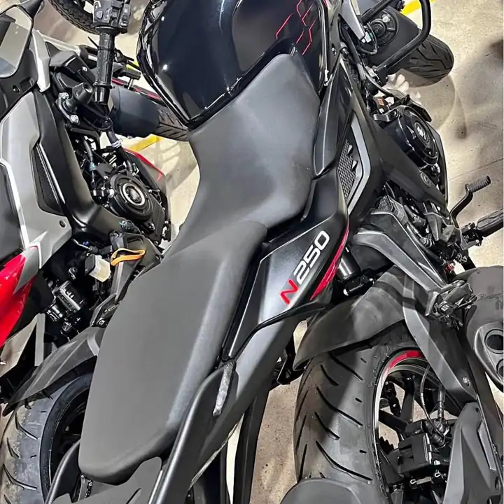 Rouser NS250