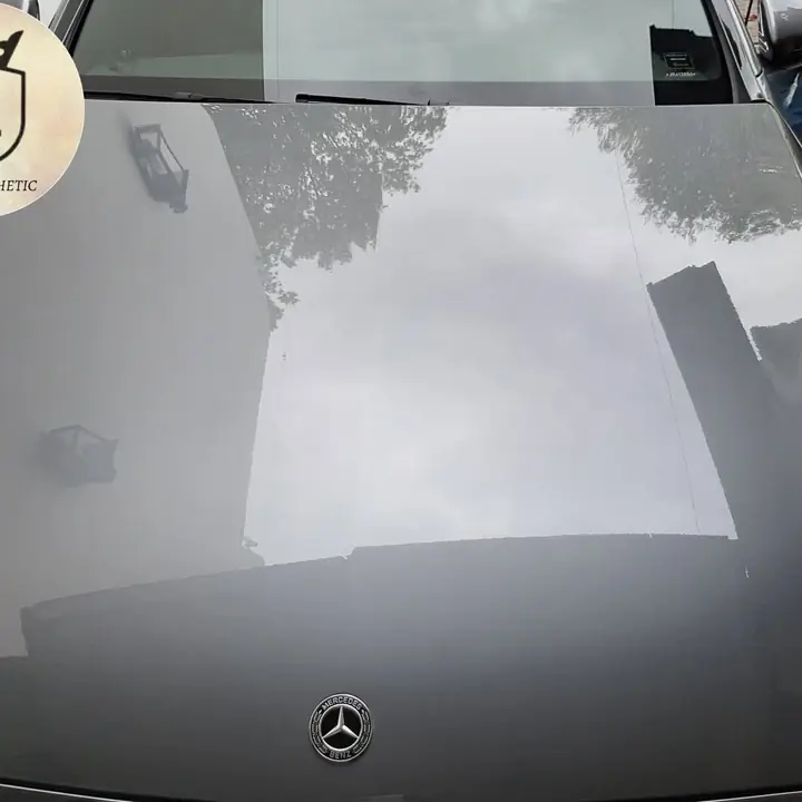 GL car esthetic (estetica y pintura automotor)