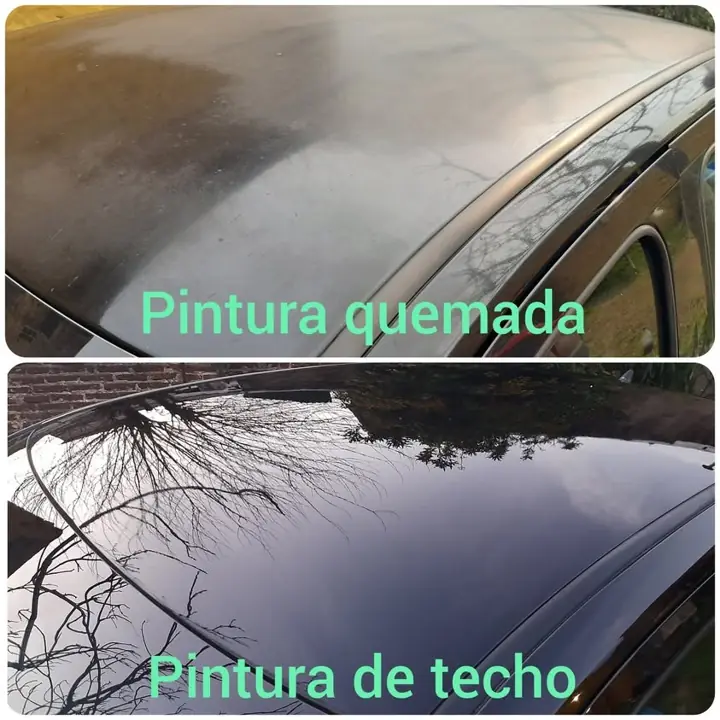 Pintura y estetica para el automotor GL car esthetic