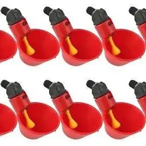 Bebederos automáticos nuevos para aves PACK x 10 unidades