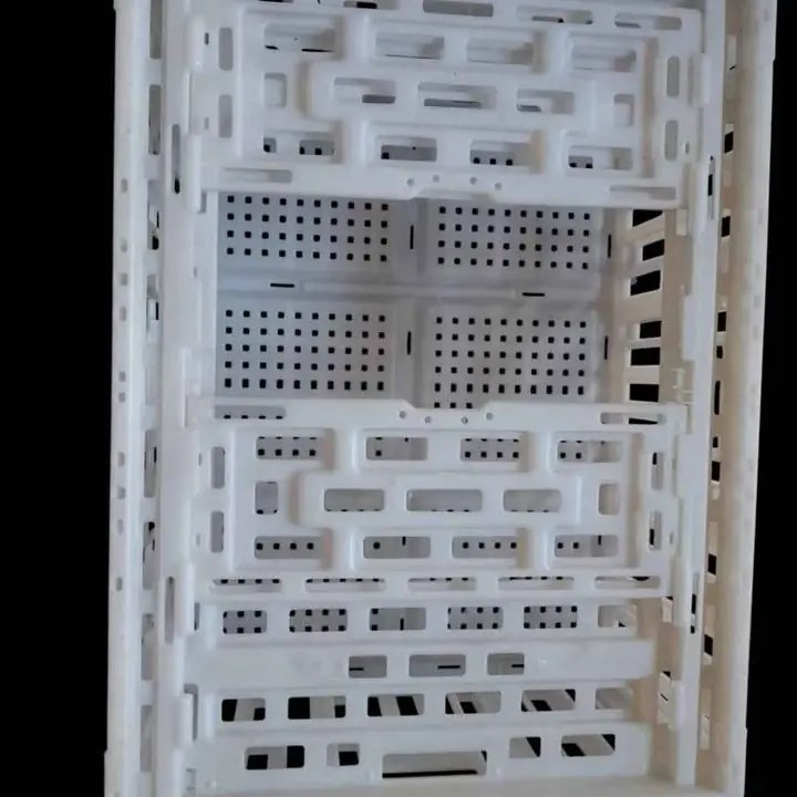 Canastos para trasladar palomas mensajeras .ideal sueltas