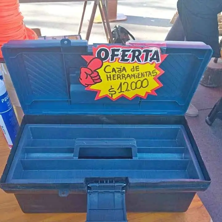 Caja de herramientas con bandeja