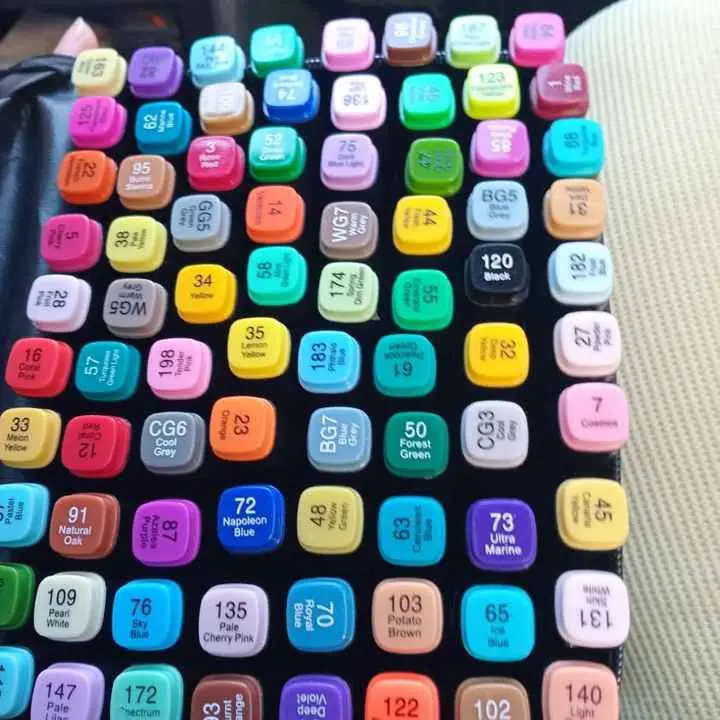 Plumones x 80