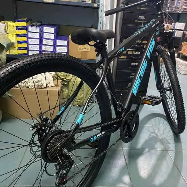 Bicicleta rodado 29