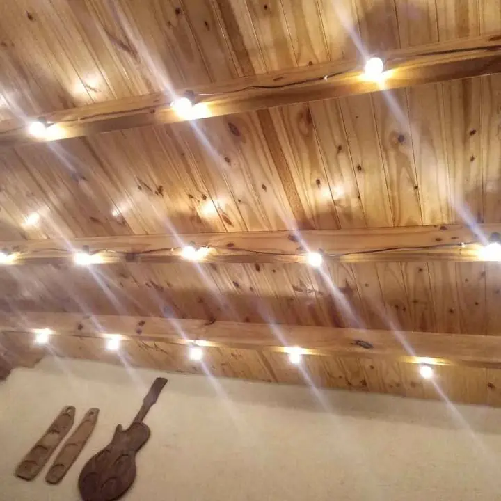 Guirnalda + luces