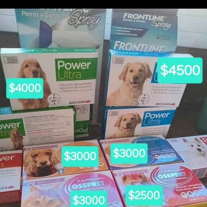 Pulguicida perros pipetasosspret