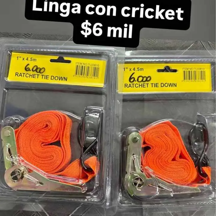 Linga con cricket