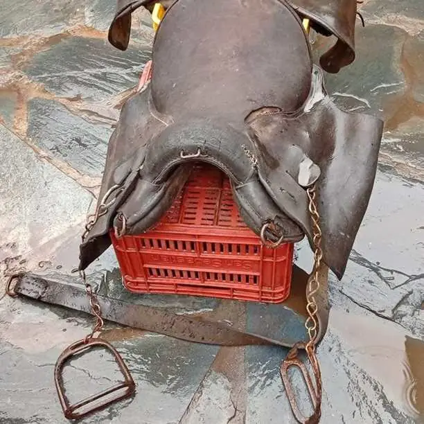 2 Montura de caballo