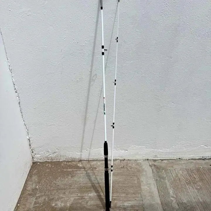 Caña de pesca 2 tramos 2.70 metros