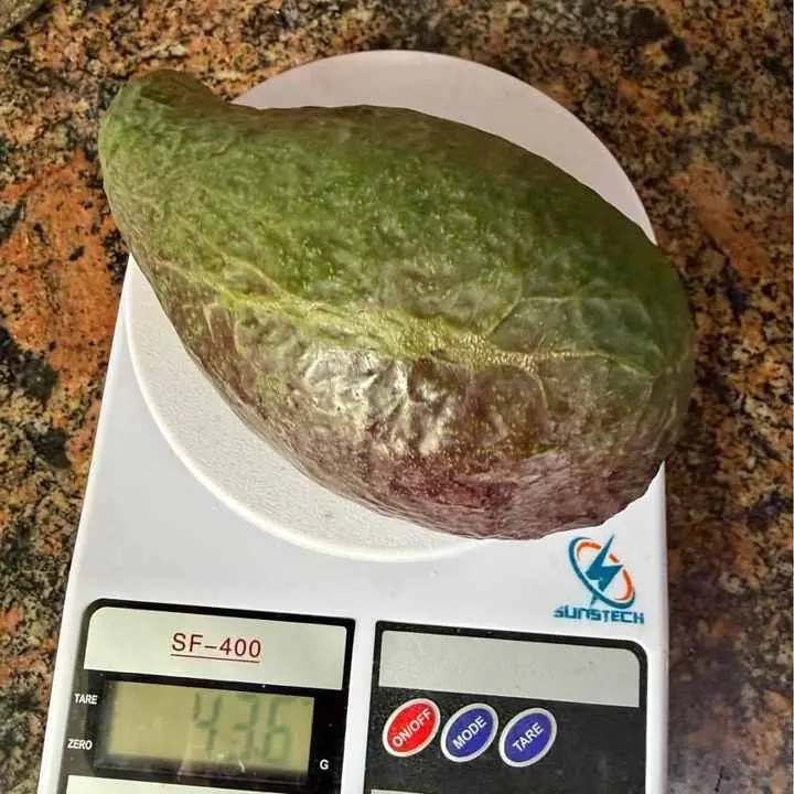 Palta torres 400 gramos