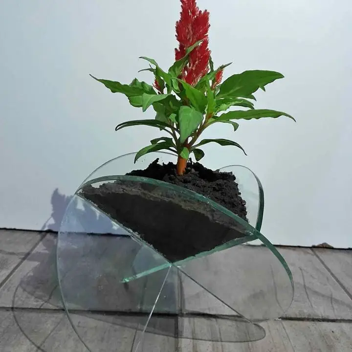 Macetas de vidrios tridimensional Ideal para el dia de la madre o eventos