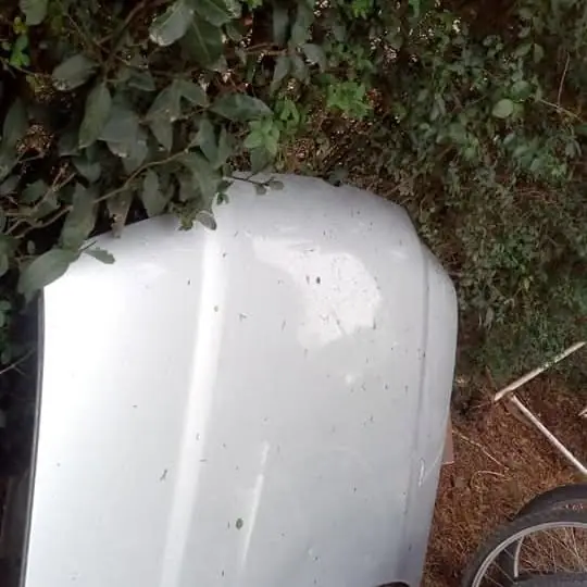 Vendo capot bora línea vieja